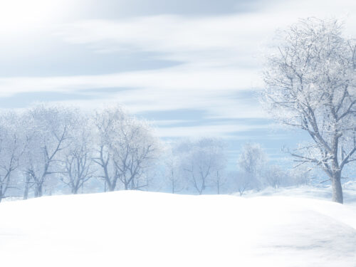 A snowy winter landscape with frosted trees and a pale, cloudy sky.