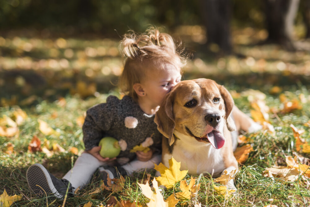 A young child sits on grass holding an apple beside a dog lying among autumn leaves.