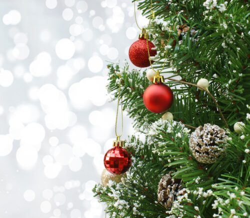 A decorated Christmas tree with red baubles and pinecones dusted with artificial snow against a soft white background.